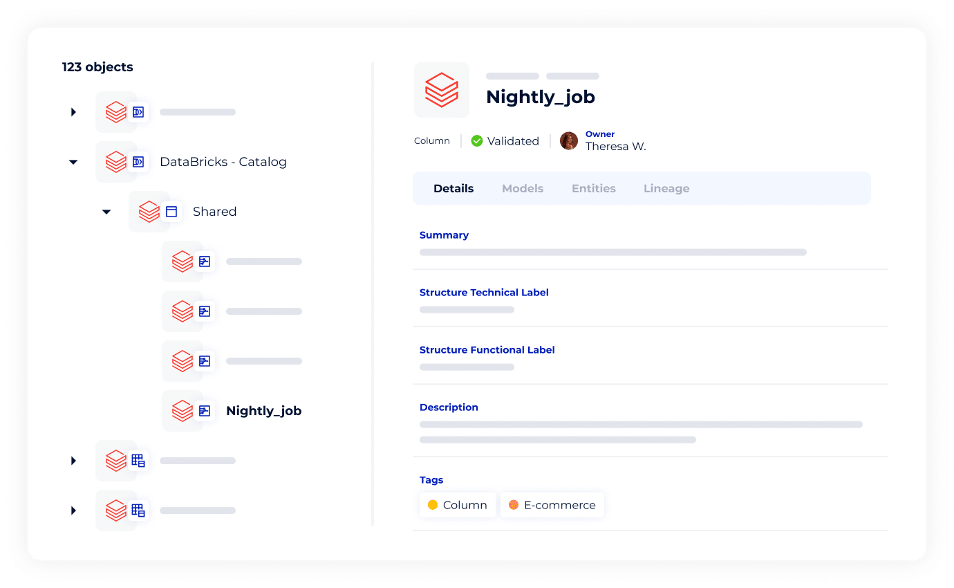 DataGalaxy x Databricks A data management partnership like never before Logo