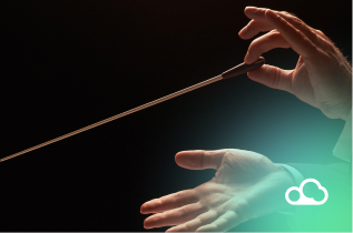 Chief Data Officer Role