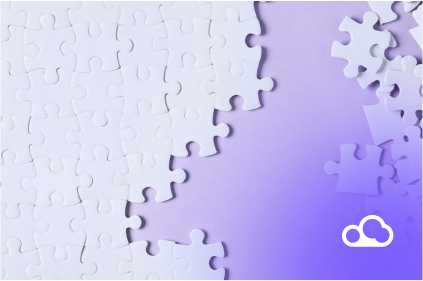 Data governance team